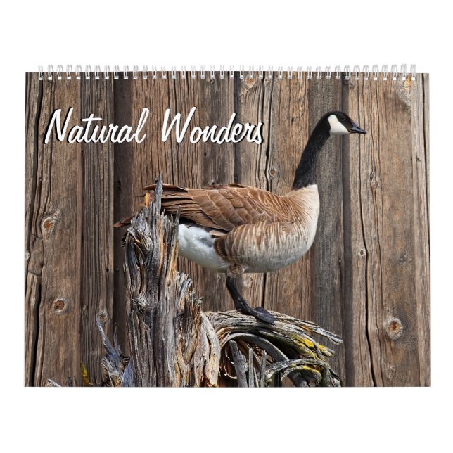 NATURAL WONDERS CALENDAR (Cover)