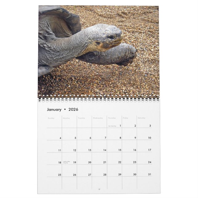 Natural Wonders of Australia Calendar (Jan 2026)