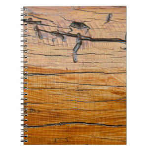 Natural wood background,  wood slice and organic t notebook