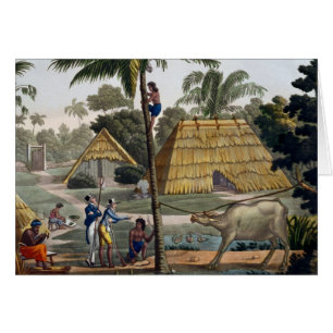 Naturalists question natives near Kupang, Timor, p