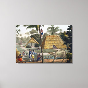 Naturalists question natives near Kupang, Timor, p Canvas Print