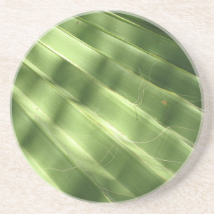 Naturally Cool Surfaces_Fluted Frond Coaster