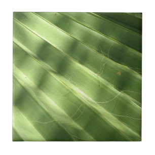Naturally Cool Surfaces_Fluted Frond Tile