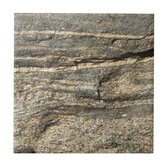 Naturally Cool Surfaces_Granite look Tile (Front)