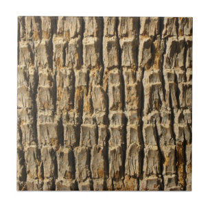 Naturally Cool Surfaces_Palm Tree Bark Tile