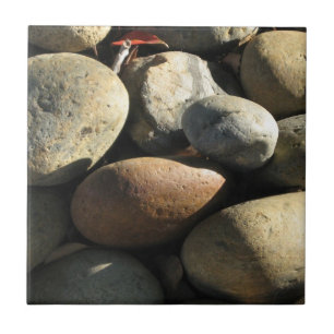 Naturally Cool Surfaces_Rocks&Shade cluster Tile