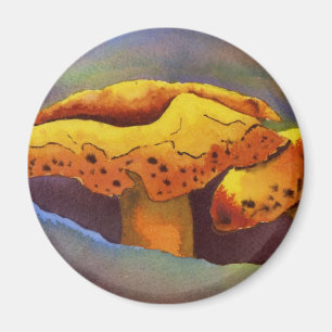 Naturally Odd Magnet
