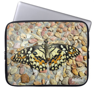 NaturCraze Beautiful Butterfly (Lime Butterfly) Laptop Sleeve