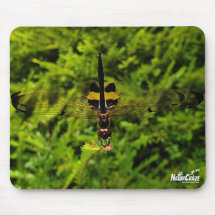 NaturCraze Black and Yellow Dragonfly Mousepad