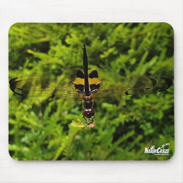 NaturCraze Black and Yellow Dragonfly Mousepad (Front)