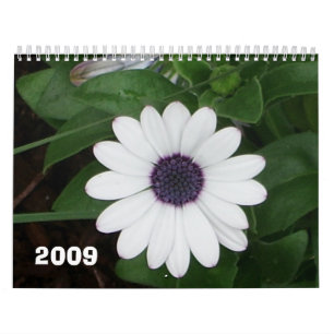 Nature 2009 calendar