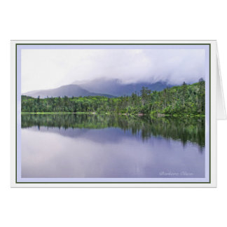 Nature-A Place to Heal
