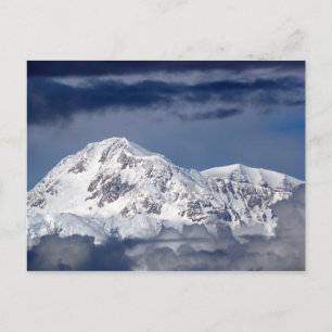 Nature Alaska Denali Landscape Photo Postcard