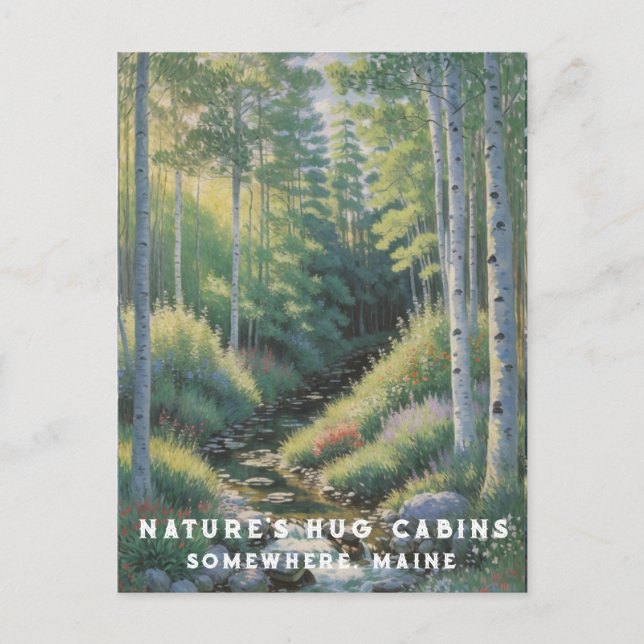 *~* Nature AP49 Maine Forest Woods Vacation Stream Postcard (Front)