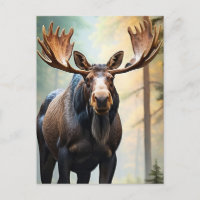 *~* Nature AP49 MOOSE Woods Forest Climb Mountain