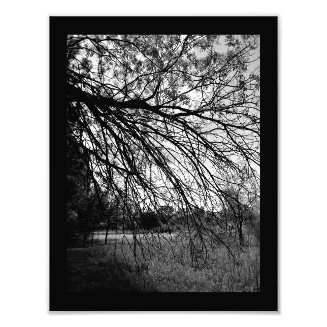 Nature Art Photo Print (Front)