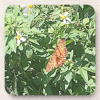 Nature At Its Best Coaster