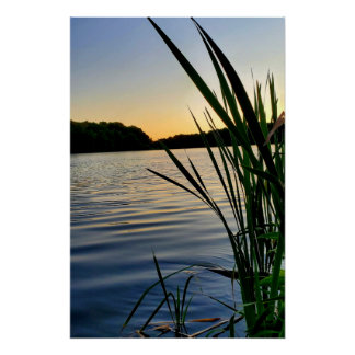 Nature at its best  poster