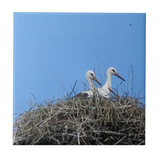 nature, bird, stork, nest, white, animal, sky, tile (Front)