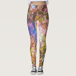 Nature blooms flowers light bloom sun Leggings