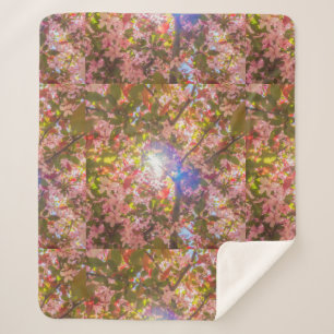  Nature blooms flowers light bloom sun Sherpa Blanket