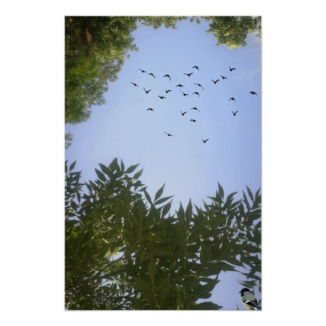  Nature  Blue Sky With Birds & Tree   Poster (Front)