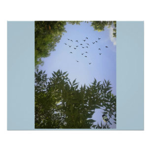Nature Blue Sky With Birds & Tree Poster