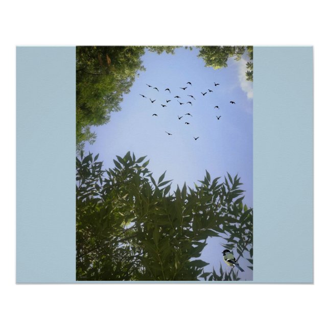  Nature  Blue Sky With Birds & Tree   Poster (Front)