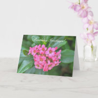 Nature Bouquet of Pink Dainty Flowers Birthday