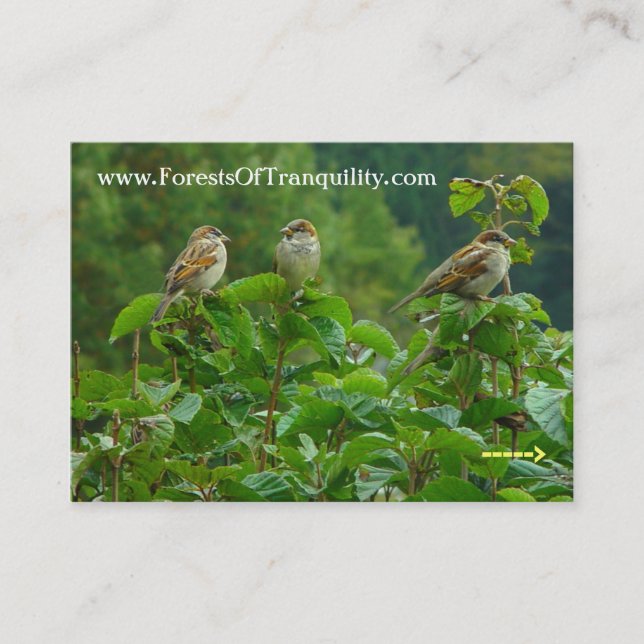 Nature business card (Front)