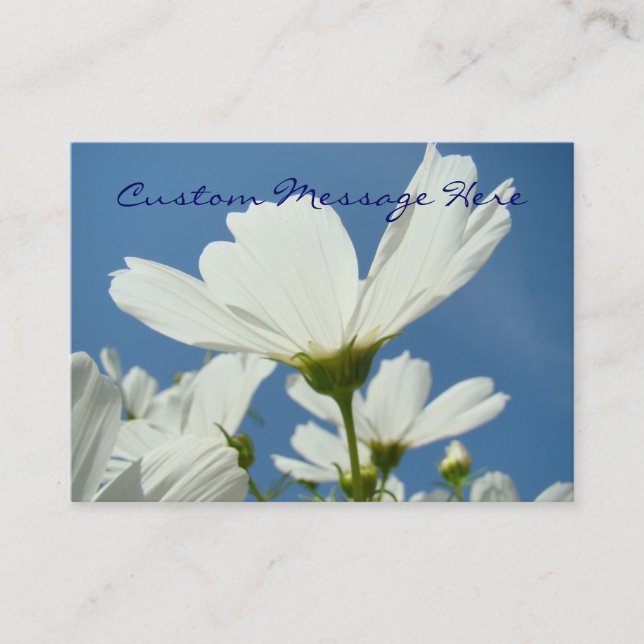 Nature Business cards White Daisy Flowers Blue Sky (Front)