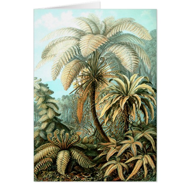 Nature by Ernst Haeckels Kunstformen  (Front)