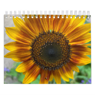 Nature Calendar