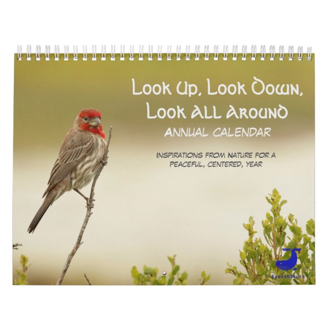 Nature Calendar: Look Up, Look Down, Look All Arou Calendar (Cover)