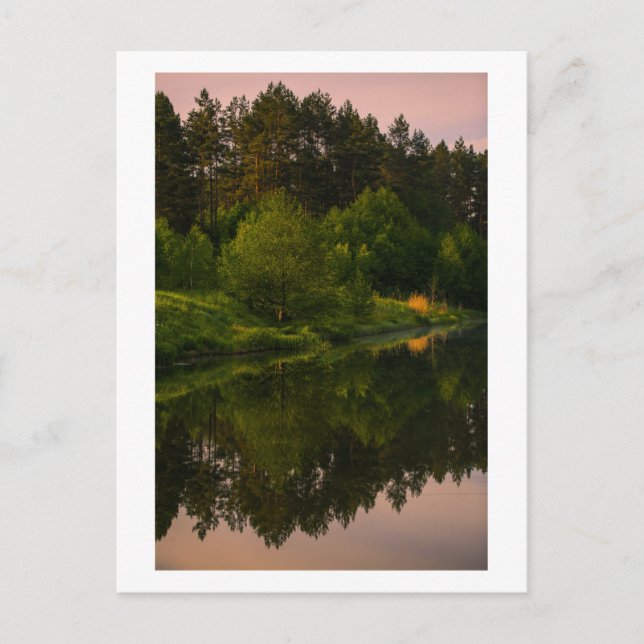 Nature Canal River Forest Belarus Postcard (Front)