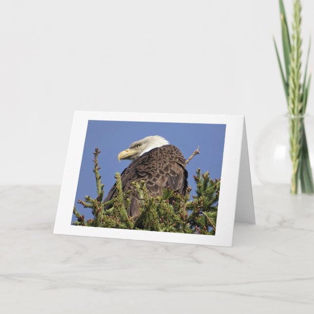 Nature Climate Note Card (Front)