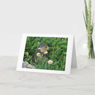 Nature Climate Note Card