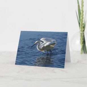 Nature Climate Note Card