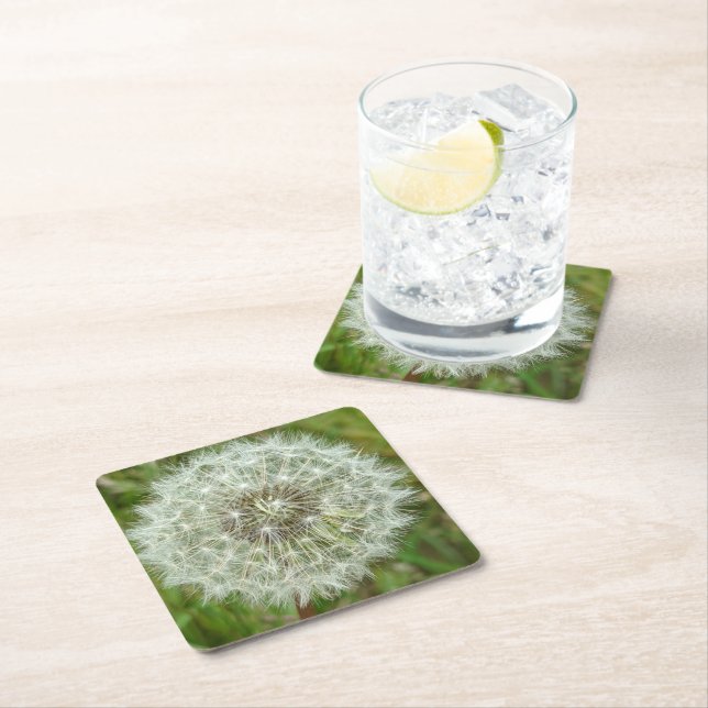 Nature Coasters (Insitu)