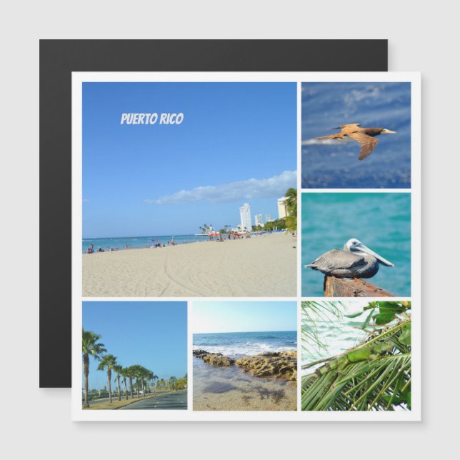 Nature collage of San Juan, Puerto Rico  magnet (Front/Back)