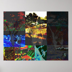 Nature Collage Poster