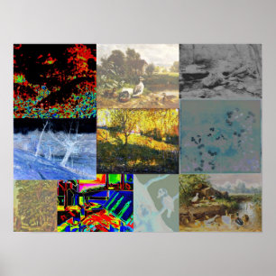 Nature Collage Poster