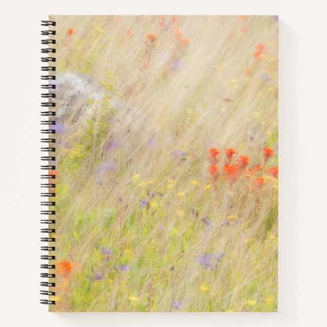 Nature Conservancy | San Juan Islands, WA Notebook (Front)