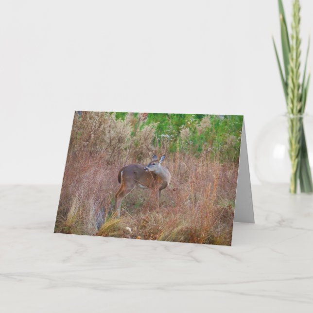 Nature Deer Doe wildlife Photo Lake Arrowhead Ga. Holiday Card (Front)