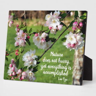Nature Does Not Hurry Inspirational Quote Plaque