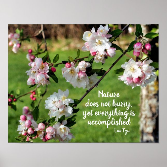 Nature Does Not Hurry Inspirational Quote Poster (Front)