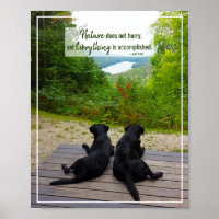 Nature Does Not Hurry - Life Inspirational Quote