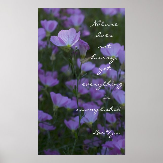 "Nature does not hurry" Poster (Front)