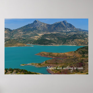Nature does nothing in vain poster