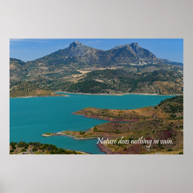 Nature does nothing in vain poster (Front)